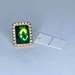 Green/Gold/Clear (adjustable) ring from RESET-CLOSET